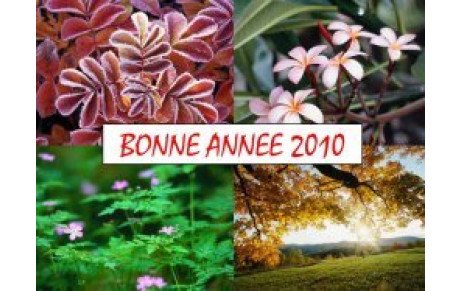 BONNE ANNEE 2010